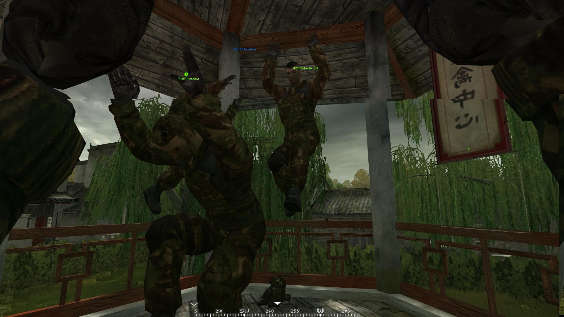 Party hard auf Shija